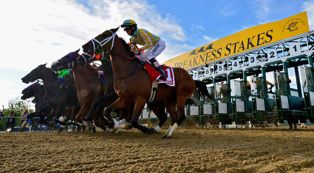 One Maryland Collective Partners with Preakness 149 to Engage University of Maryland Students in Historic Horse Racing Event